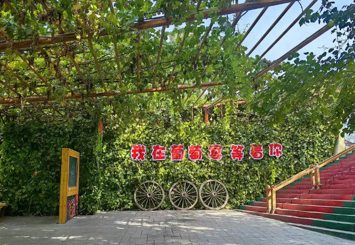 葡萄溝景區執行首次實名購票，終身免票政策